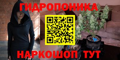ПСИЛОЦИБИНОВЫЕ ГРИБЫ Свободный