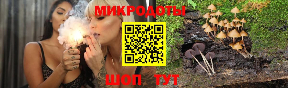 Саров  Галлюциногенные грибы Magic Shrooms  купить закладку  Вход с VPN 